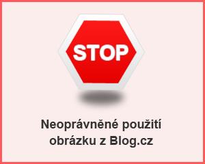 stop.jpg